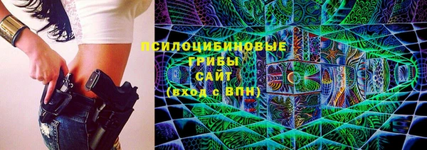 МДПВ Навашино