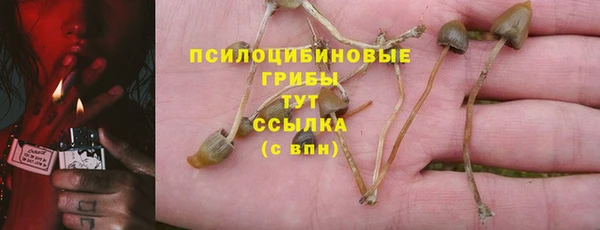 дмт Зеленодольск