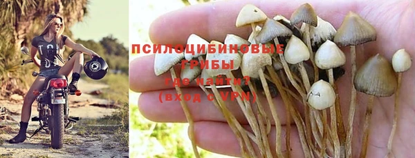 jwh Каменка