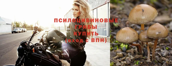 МДПВ Навашино