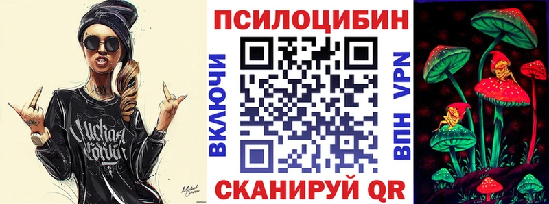 купить наркотики сайты  Снежногорск  Псилоцибиновые грибы мухоморы 